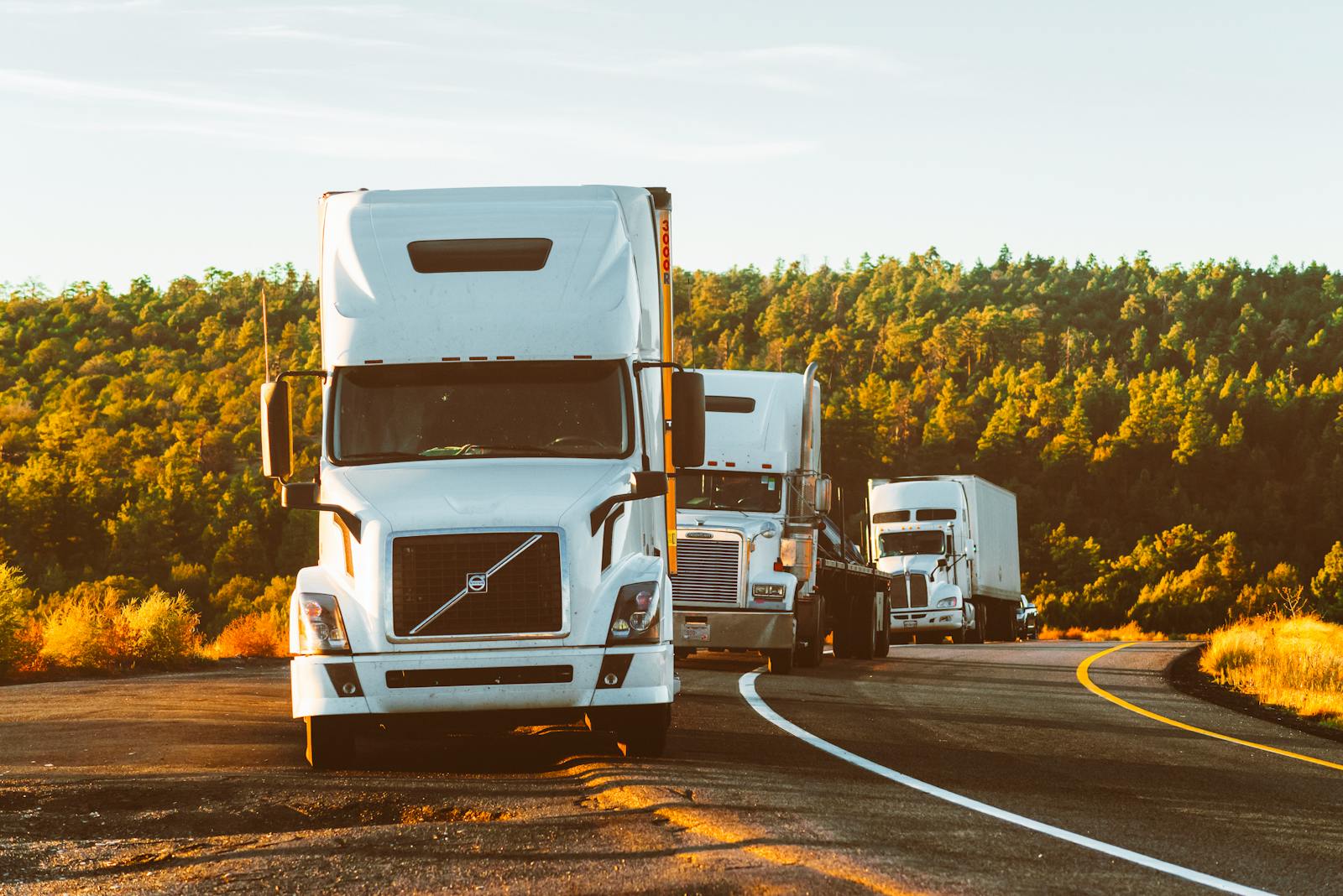 LOAD RUNNERS LOGISTICS LLC